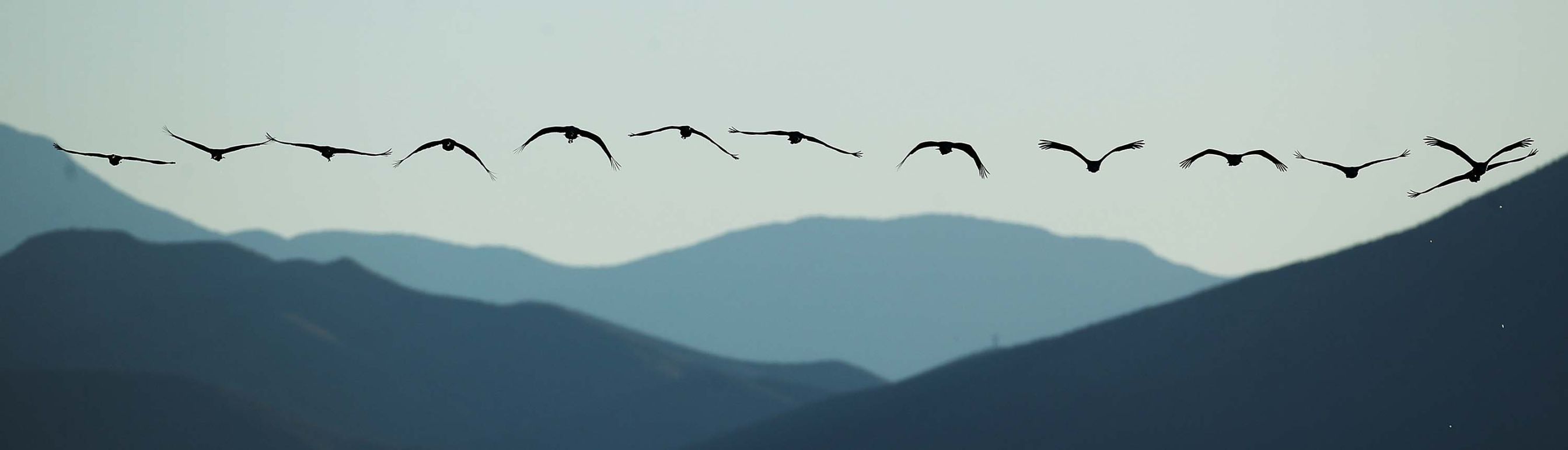 2018 Wings over Willcox